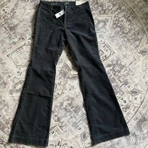 New Size 6 Loft Modern Flare Corduroy Pants